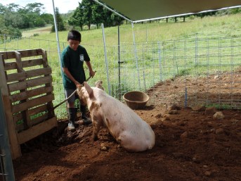 SAMSUNG CAMERA PICTURES