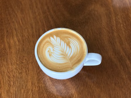 moon-and-turtle-latte